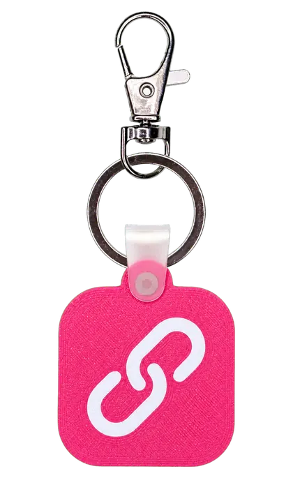 Pink ZORULAB link keychain